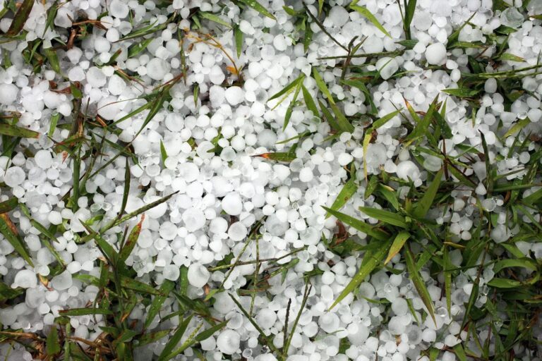 Signs of Hail Damage on a Roof That Most Homeowners Miss